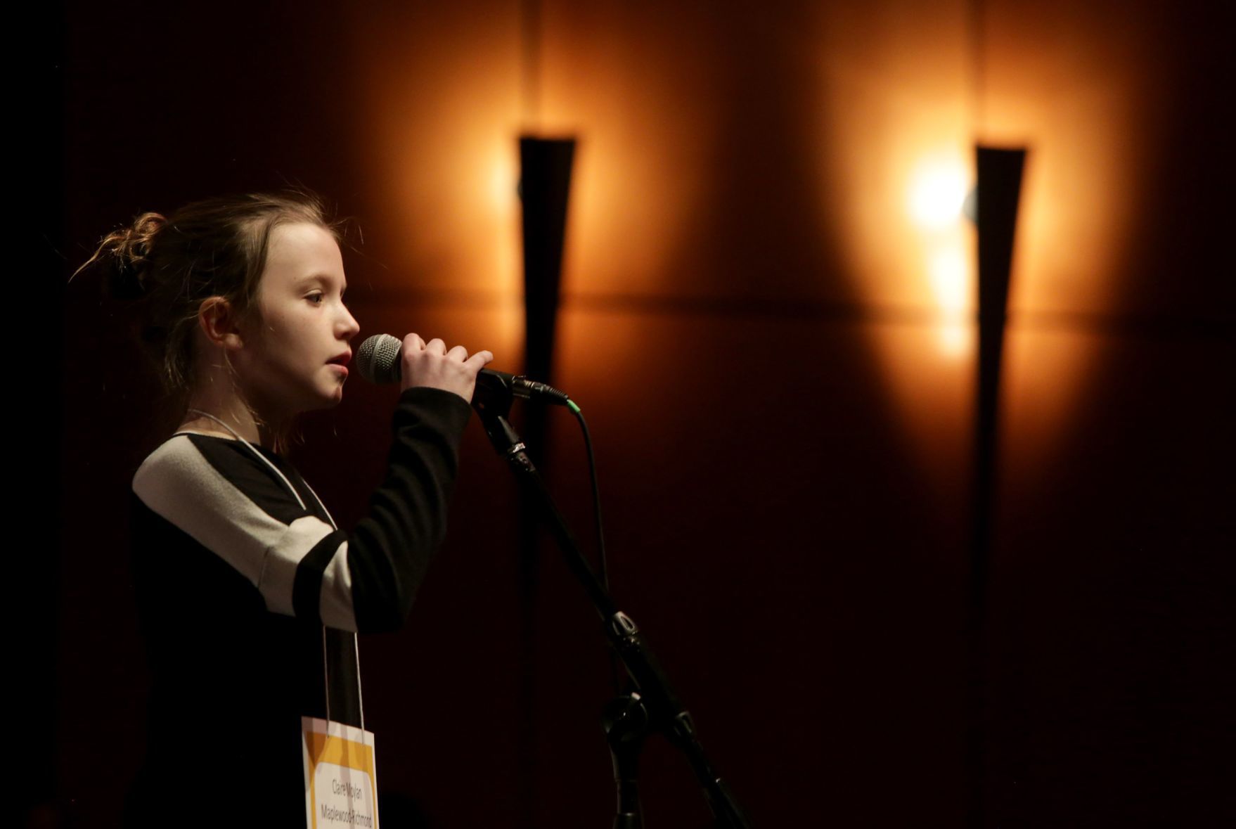 The 33rd Annual St. Louis
Post-Dispatch Spelling Bee